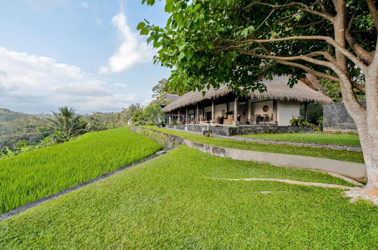Villa Kelusa أوبود المظهر الخارجي الصورة