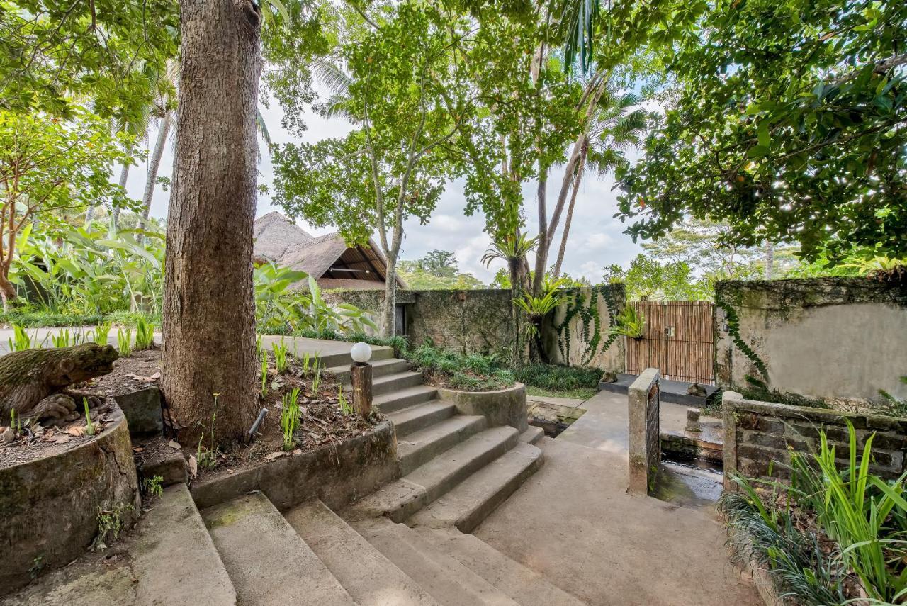 Villa Kelusa أوبود المظهر الخارجي الصورة